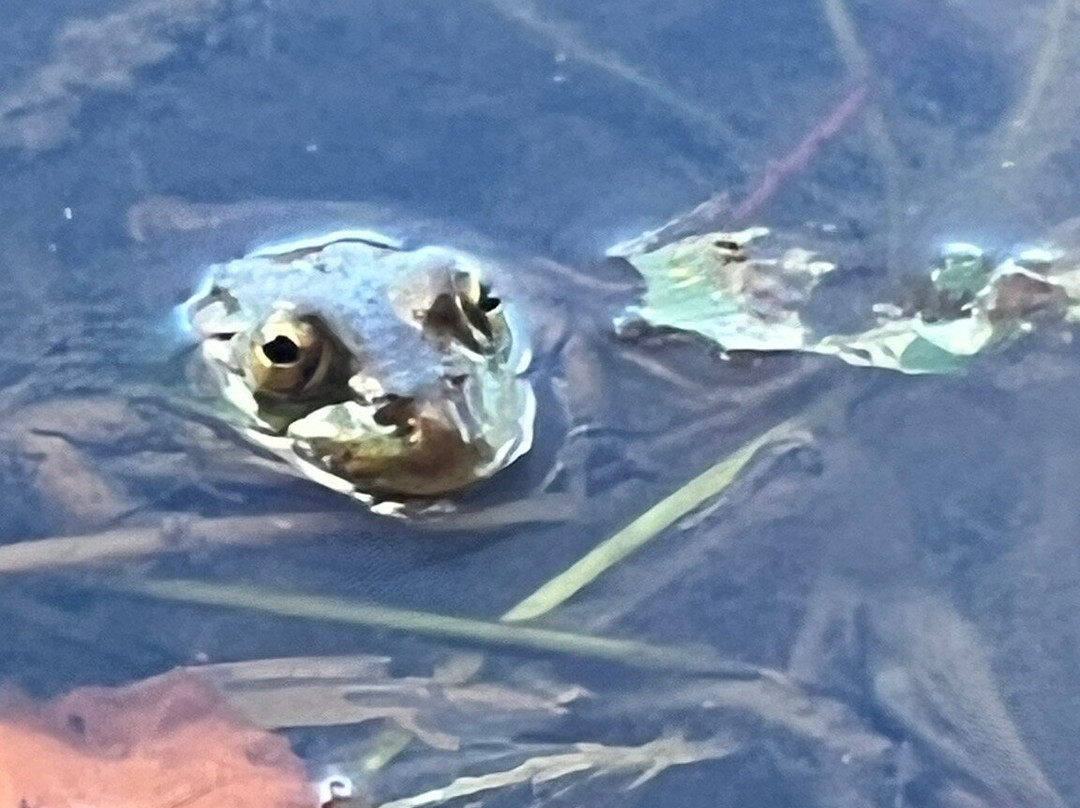 Lago Maulazzo-Alcara li Fusi必去景点
