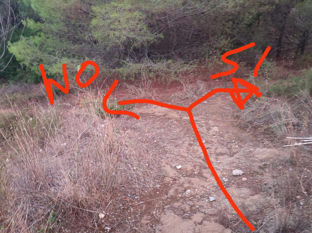 Baia del Buon Dormire-Faracchio必去景点