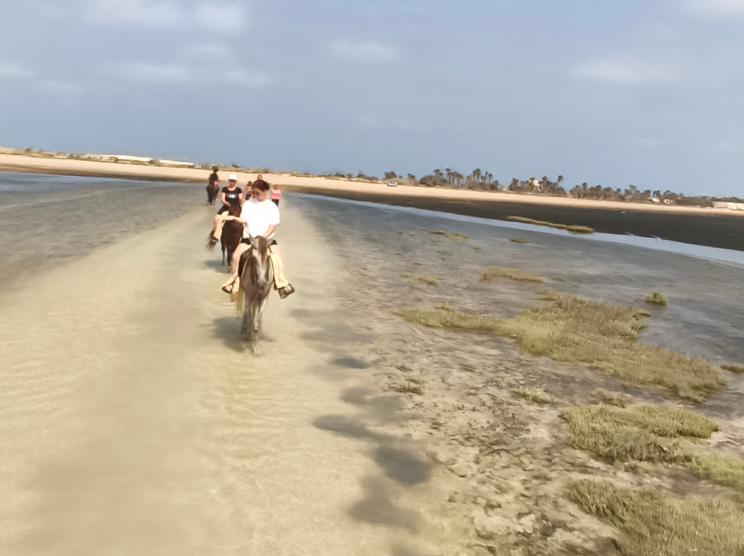 Ranch Yassmina Djerba La Douce-米栋必去景点