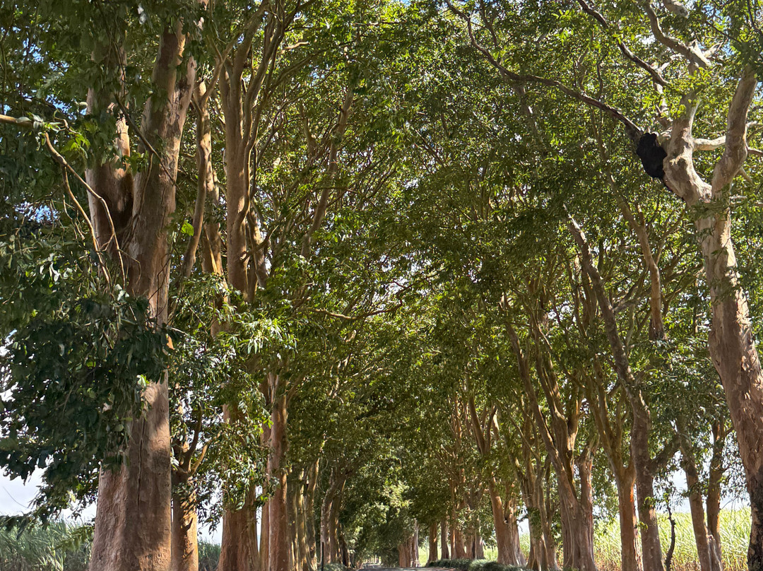 BlueXpedition-Pointe d'Esny必去景点