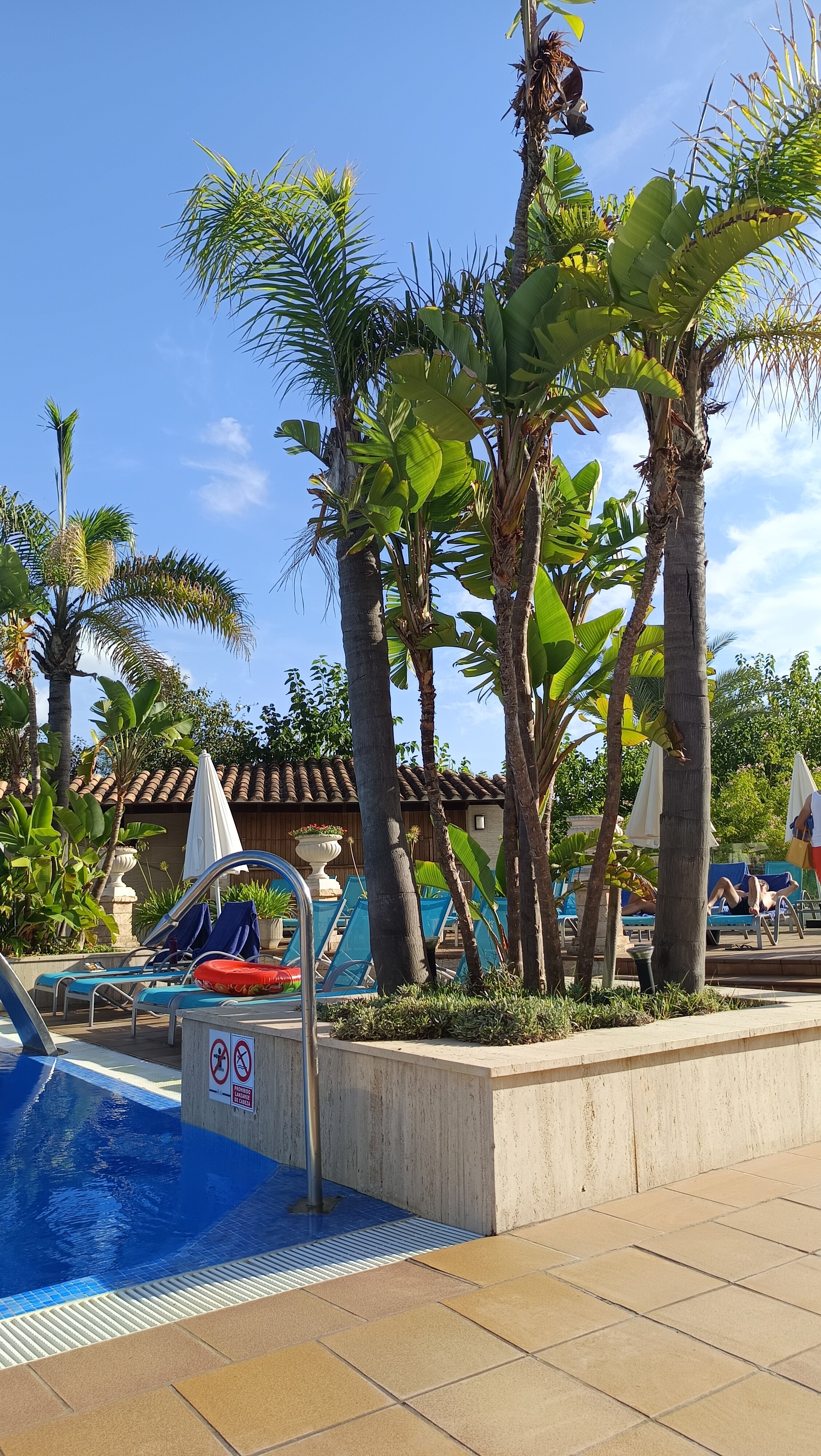 Bahía De Alcudia Hotel & Spa-官方