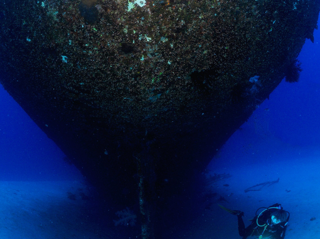 Diving World-大湾必去景点