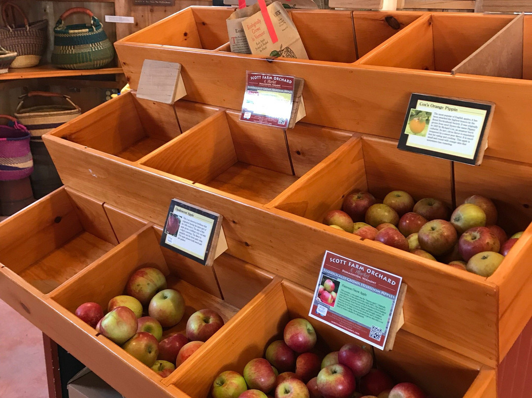 Scott Farm Orchard-Dummerston必去景点