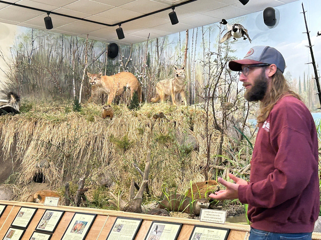 North American Bear Center-伊利必去景点