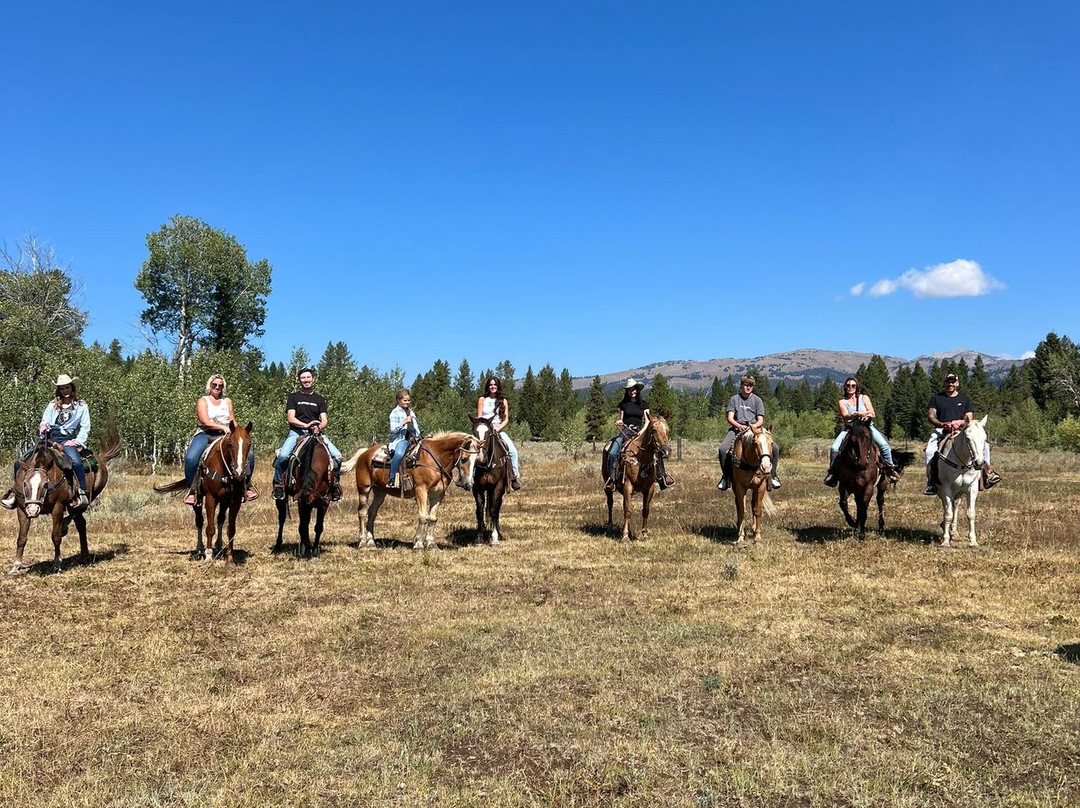 Yellowstone Horses - Eagle Ridge Ranch-艾兰帕克必去景点