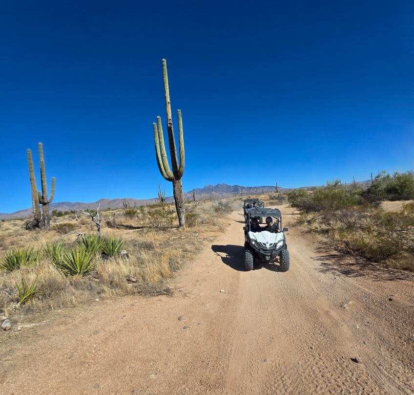 Desert Dog Offroad Adventures-斯科茨代尔必去景点