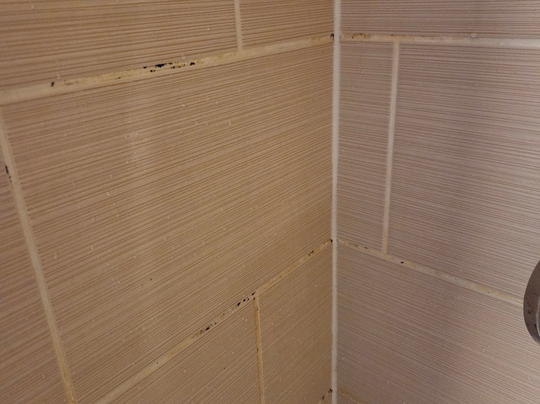 Giorgi Hotel Restaurant主图