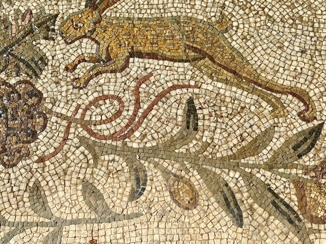 Villas Romaines-迦太基必去景点