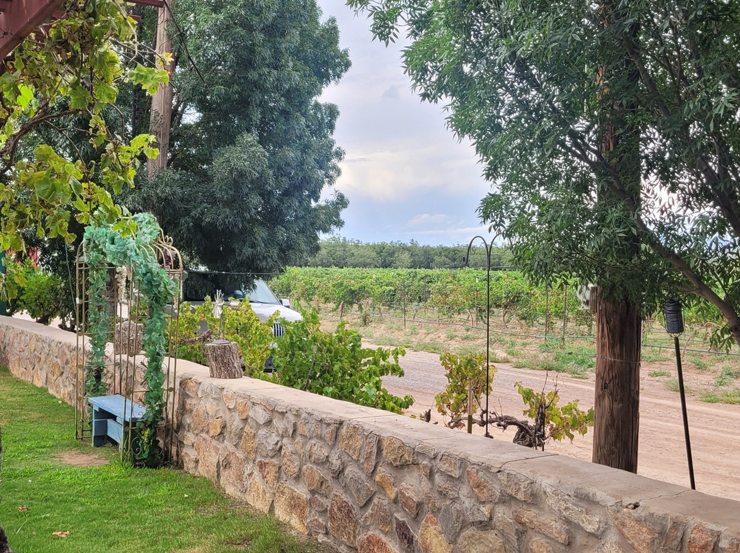 Sombra Antigua Winery-Chamberino必去景点