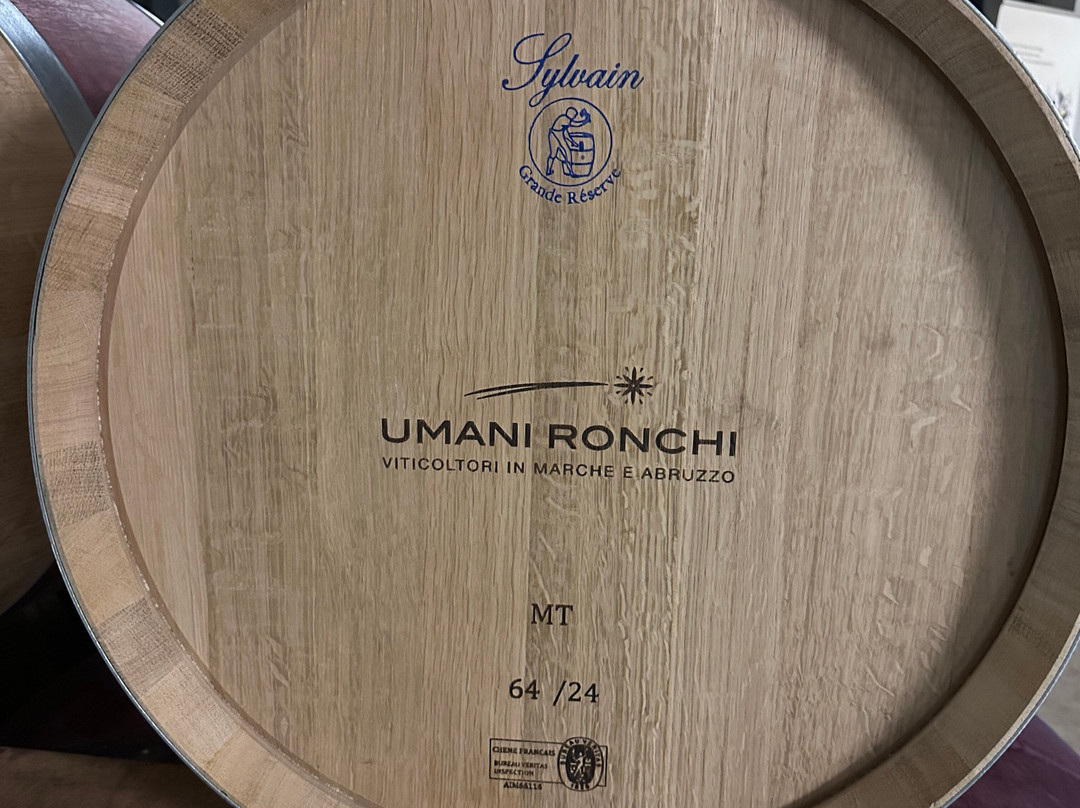 Umani Ronchi Winery-奥西莫必去景点