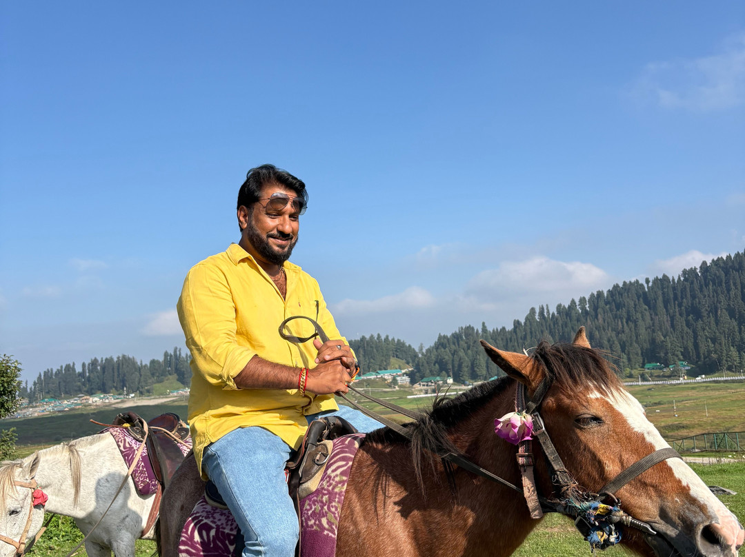 The Holidaz Travel Kashmir-斯利那加必去景点