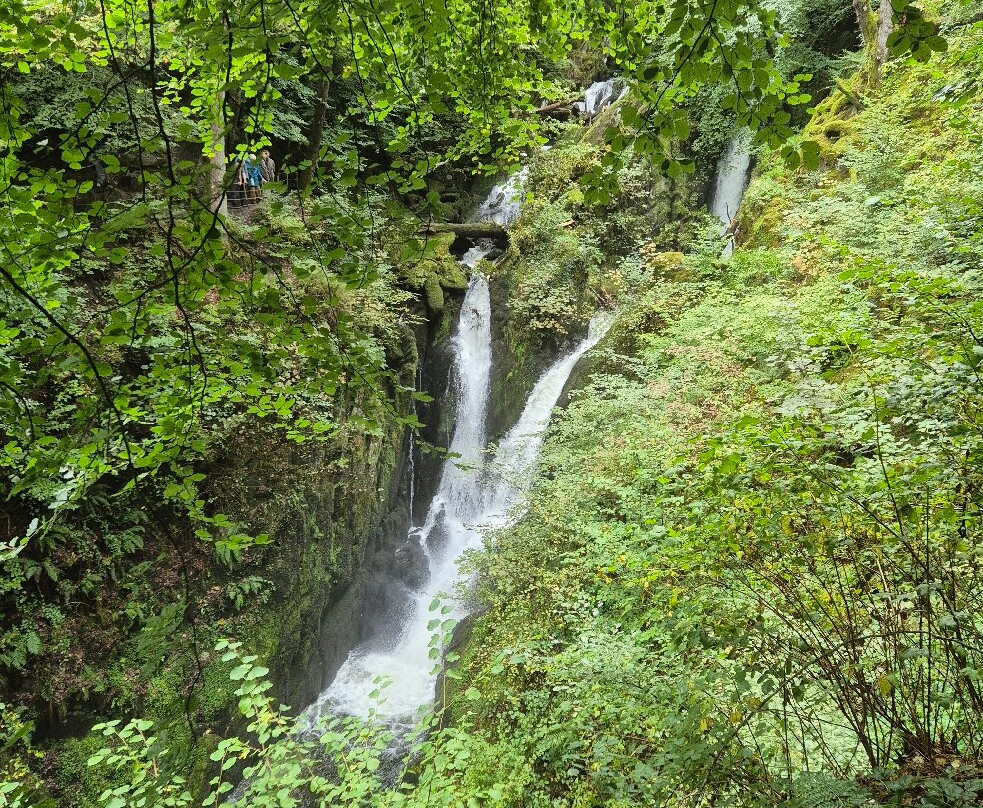 Stock Ghyll Force-安布赛德必去景点