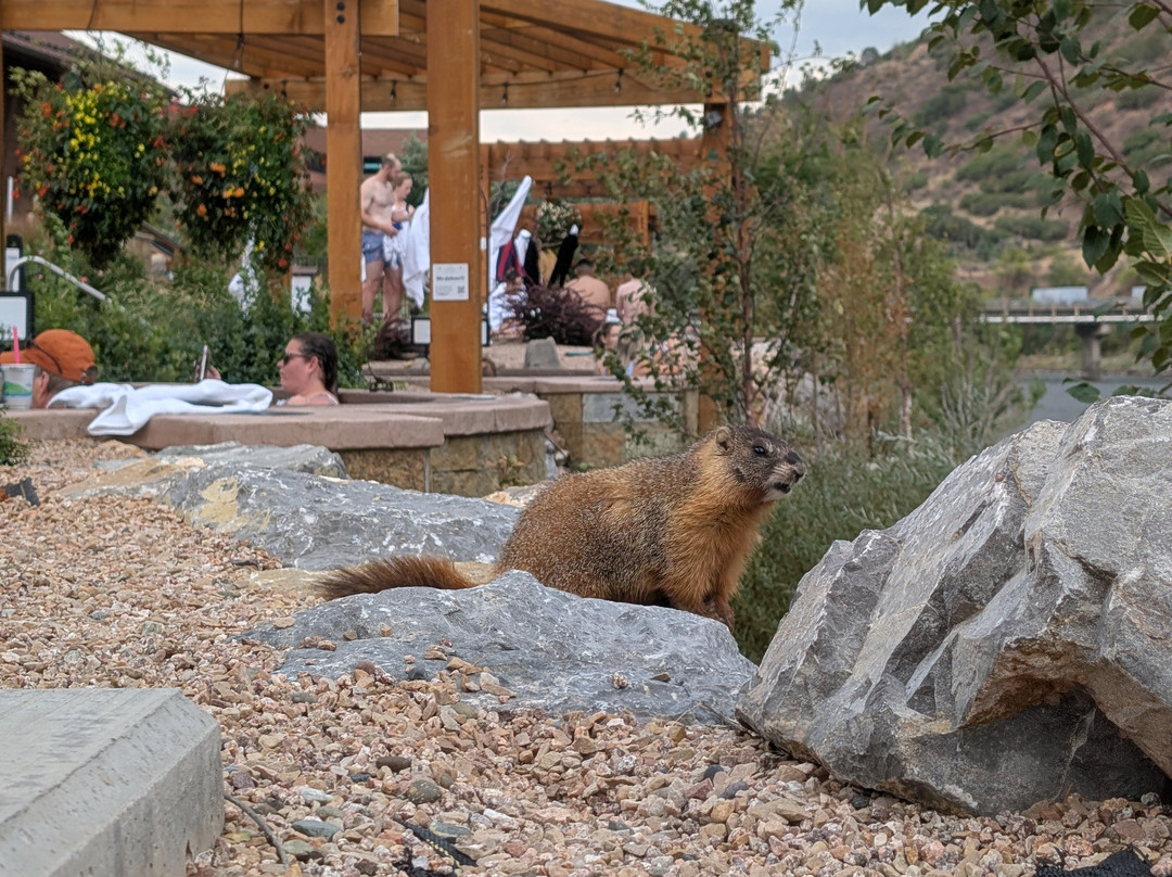 Iron Mountain Hot Springs-格伦伍德温泉必去景点