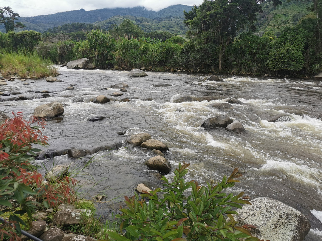 Restaurante Rio Palomo CT