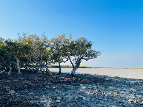 Narlijia Experiences Broome-布鲁姆必去景点