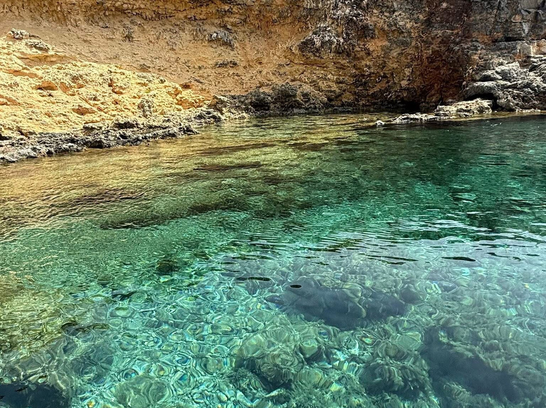 Comino Waves Boat Charters Malta-史克华必去景点