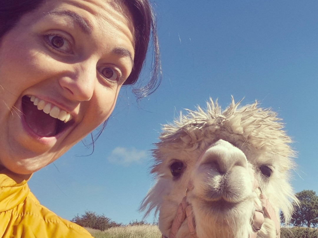 Meadowcroft Farm Alpacas