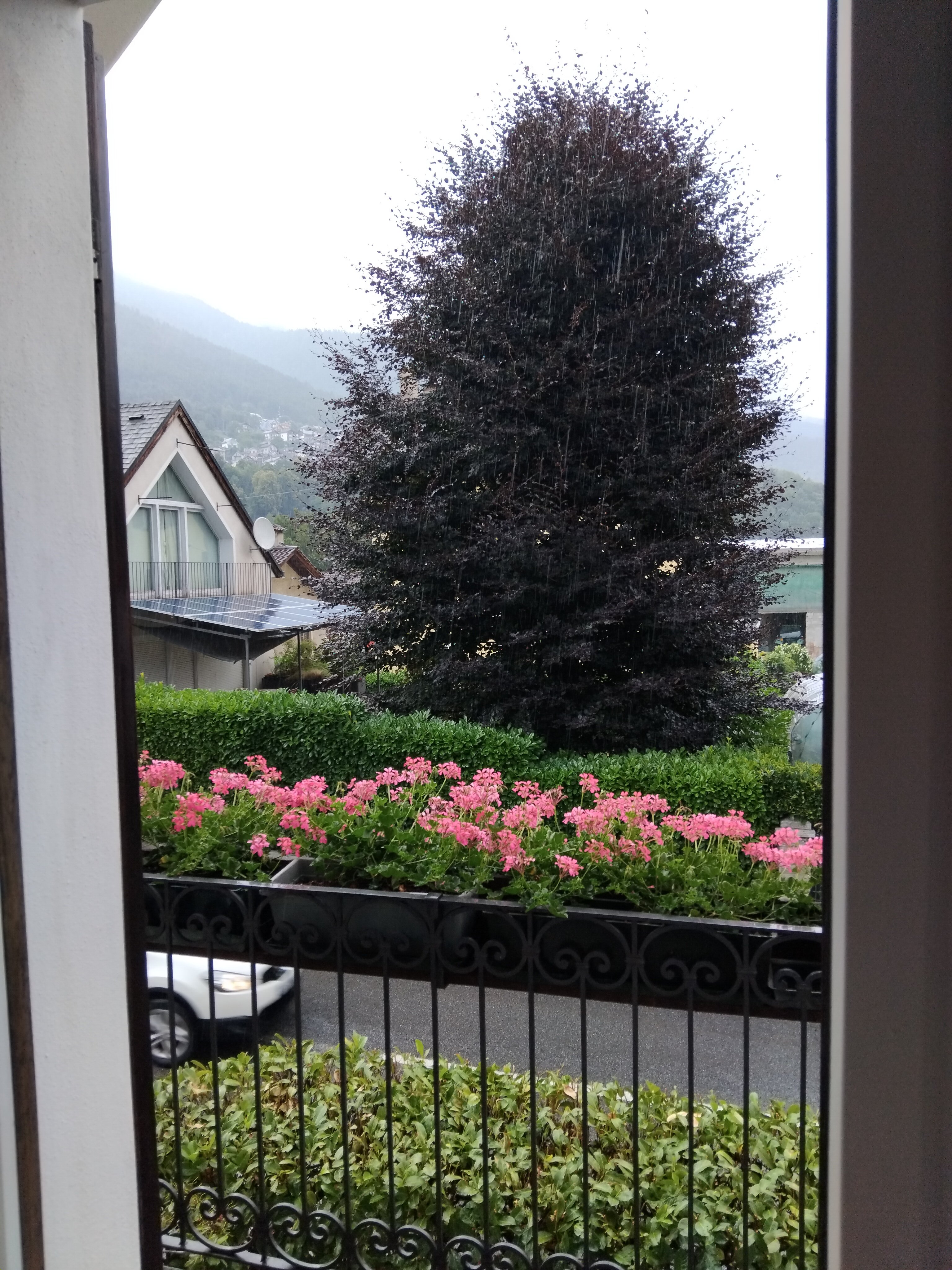 Luce del Mattino-官方