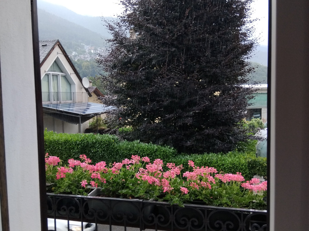 Luce del Mattino主图