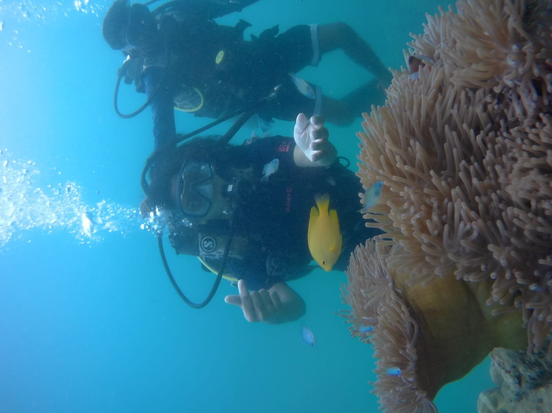 Ocean Dive Centre At Rangali