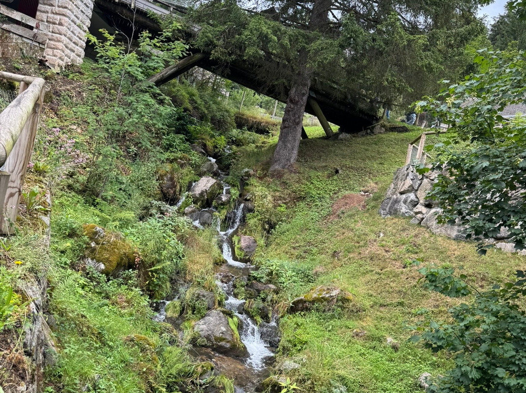 Steinwasen Park-Oberried必去景点