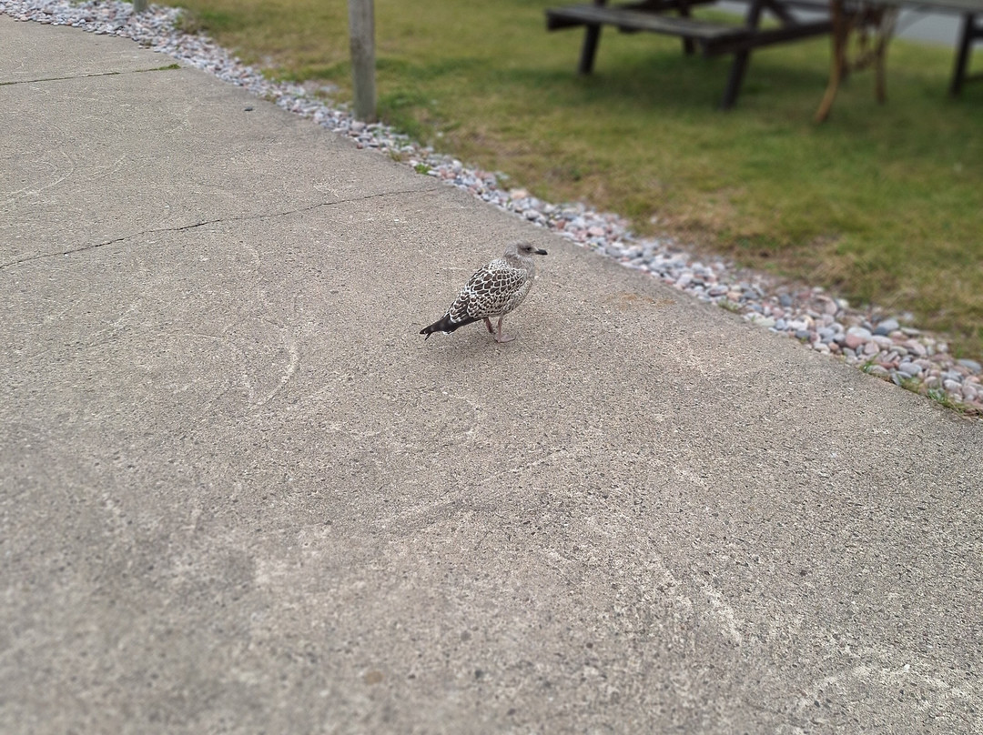 Pennan Harbour-Pennan必去景点