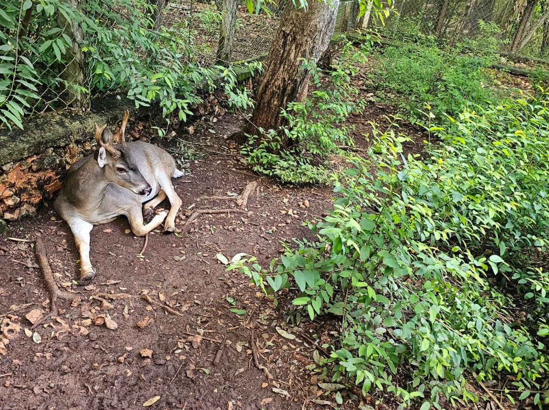 Choco Story uxmal-乌科斯玛必去景点