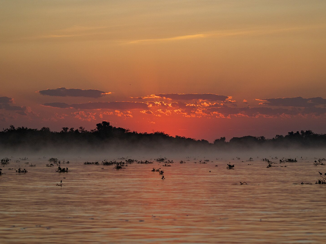 Wild Eye-弗维斯必去景点