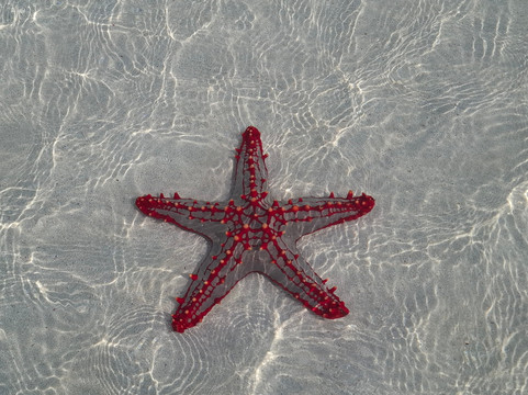 Kenya Safari-瓦塔木必去景点