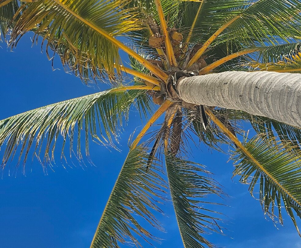 Cayo Blanco-特立尼达必去景点