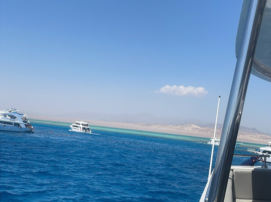 Blue Sea Dive Club-沙姆沙伊赫必去景点