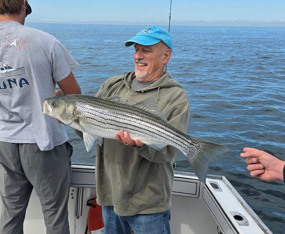 Shark Shark Tuna Fishing Charters-South Yarmouth必去景点