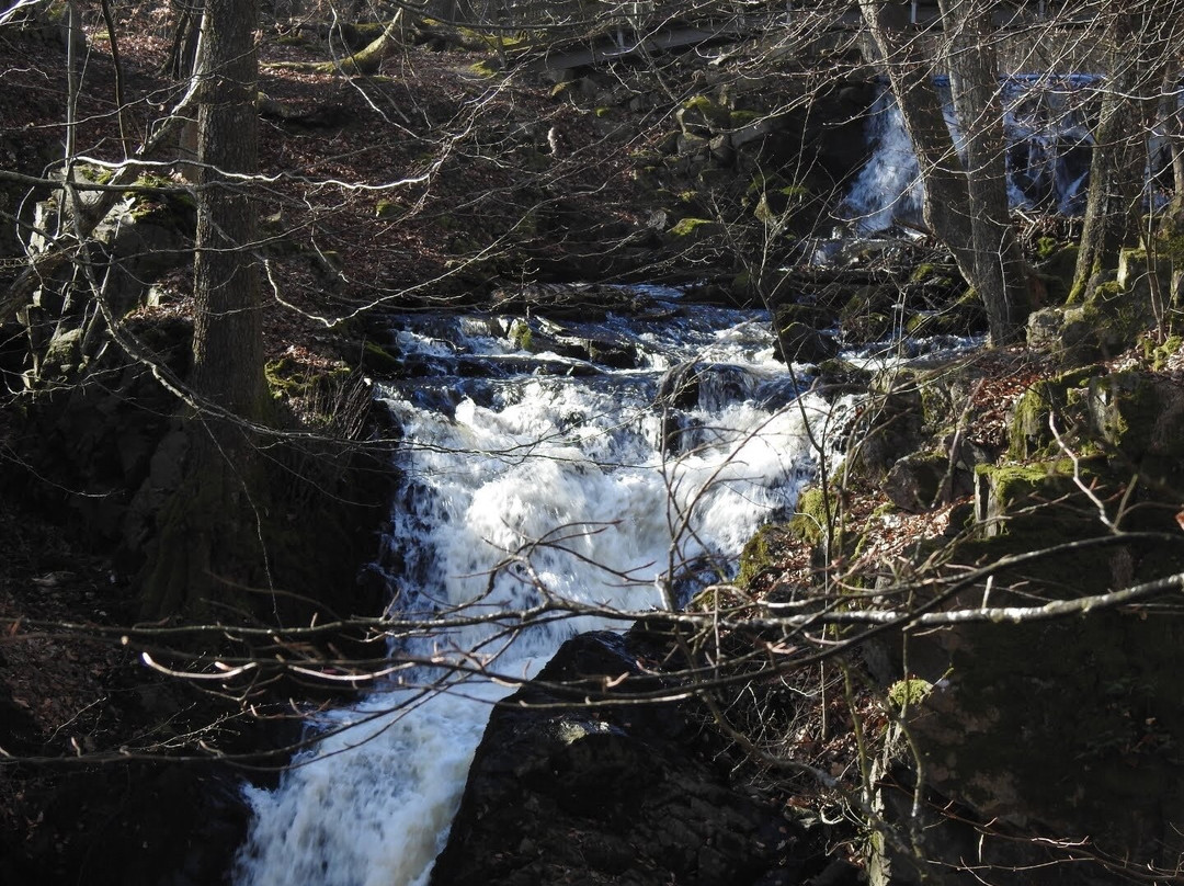 Forsakar Nature Reserve-Degeberga必去景点
