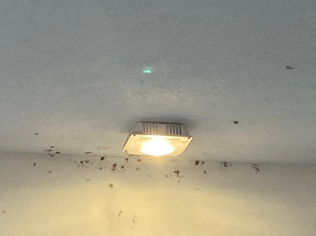 Sleep Inn Decatur I-72主图