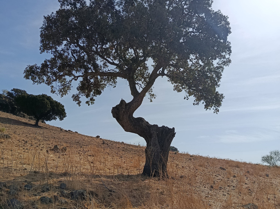 Hotel Balneario de Fuencaliente主图