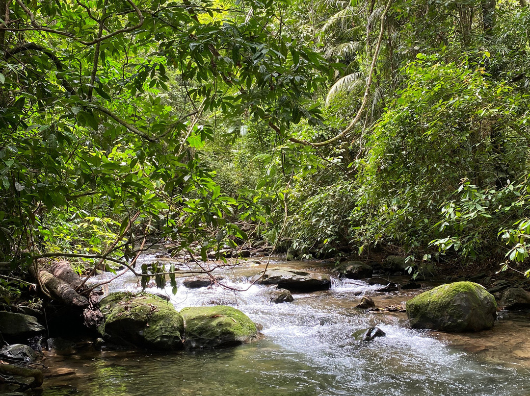 Si Phang Nga National Park-攀牙必去景点