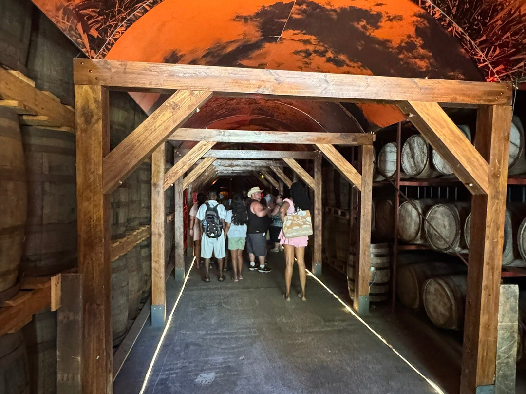 Macorix House of Rum-普拉塔港必去景点