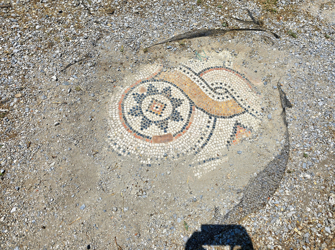Western Archaeological Zone-Kos Town必去景点