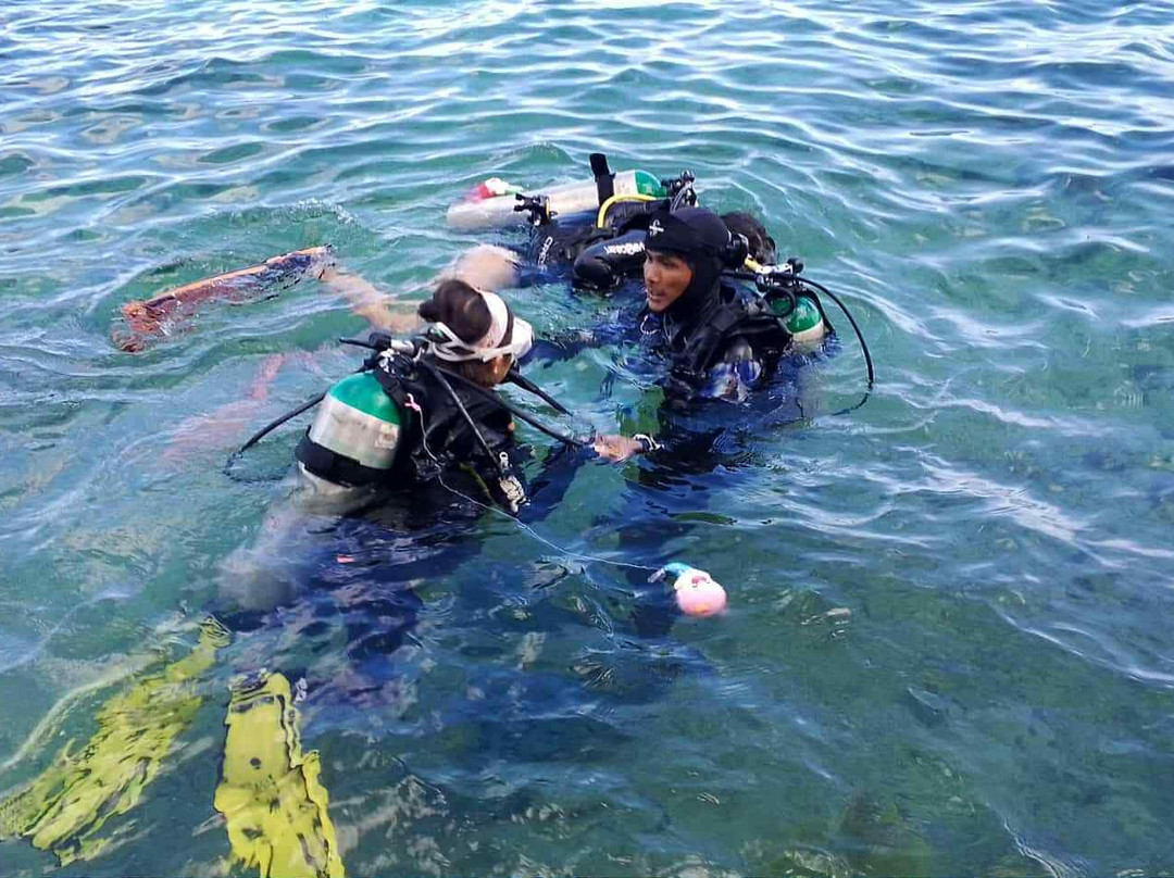 Napaling Reef-Panglao必去景点