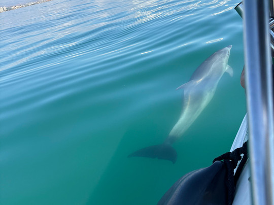 Fastpass-班纳玛德纳必去景点