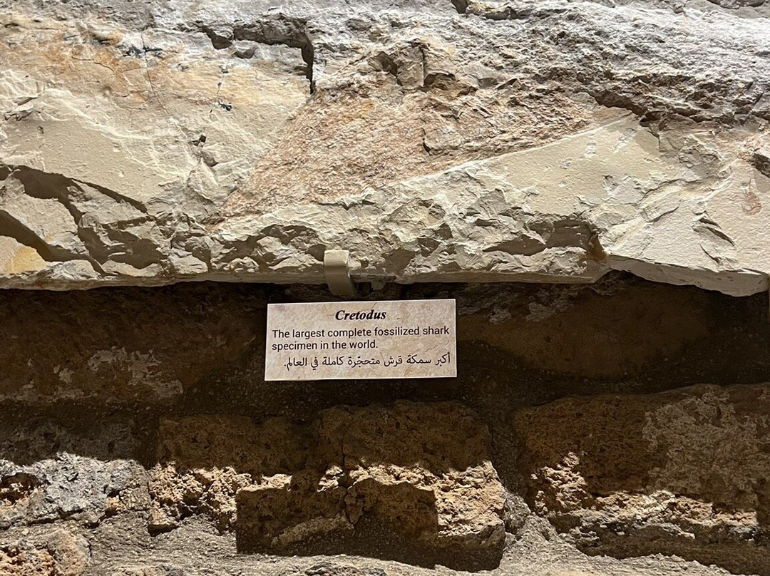 Memory of Time-朱拜勒必去景点