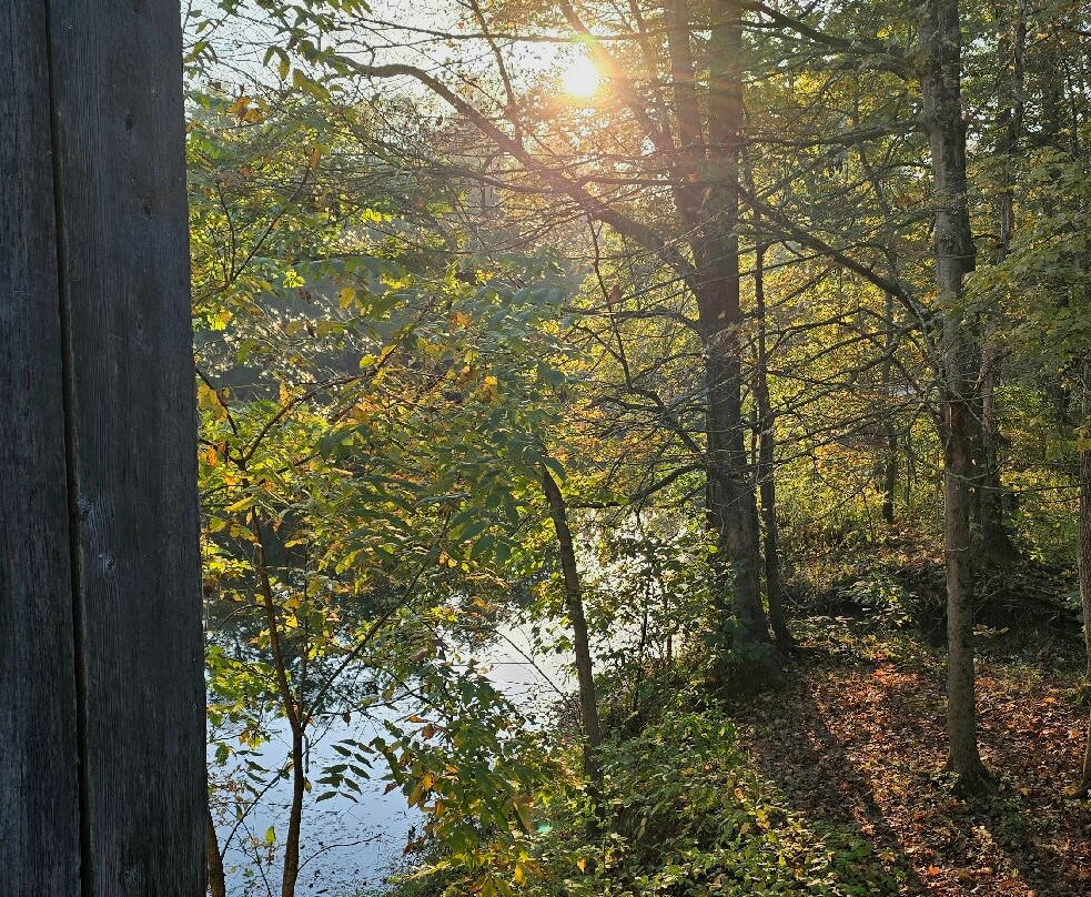 Tyler State Park-Newtown必去景点