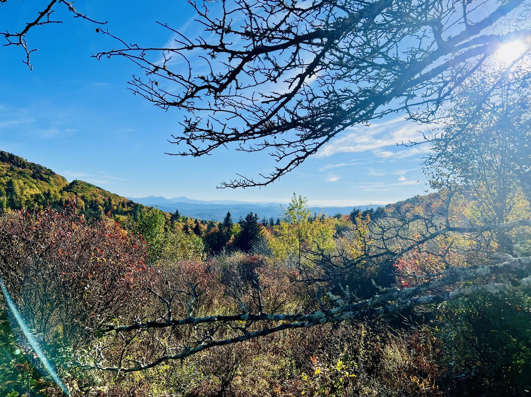 River House Inn & Restaurant主图