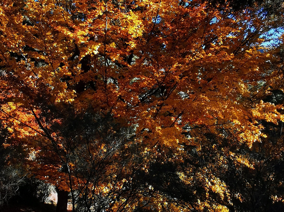 La Cruz De Rubens-埃尔·埃斯科里亚必去景点
