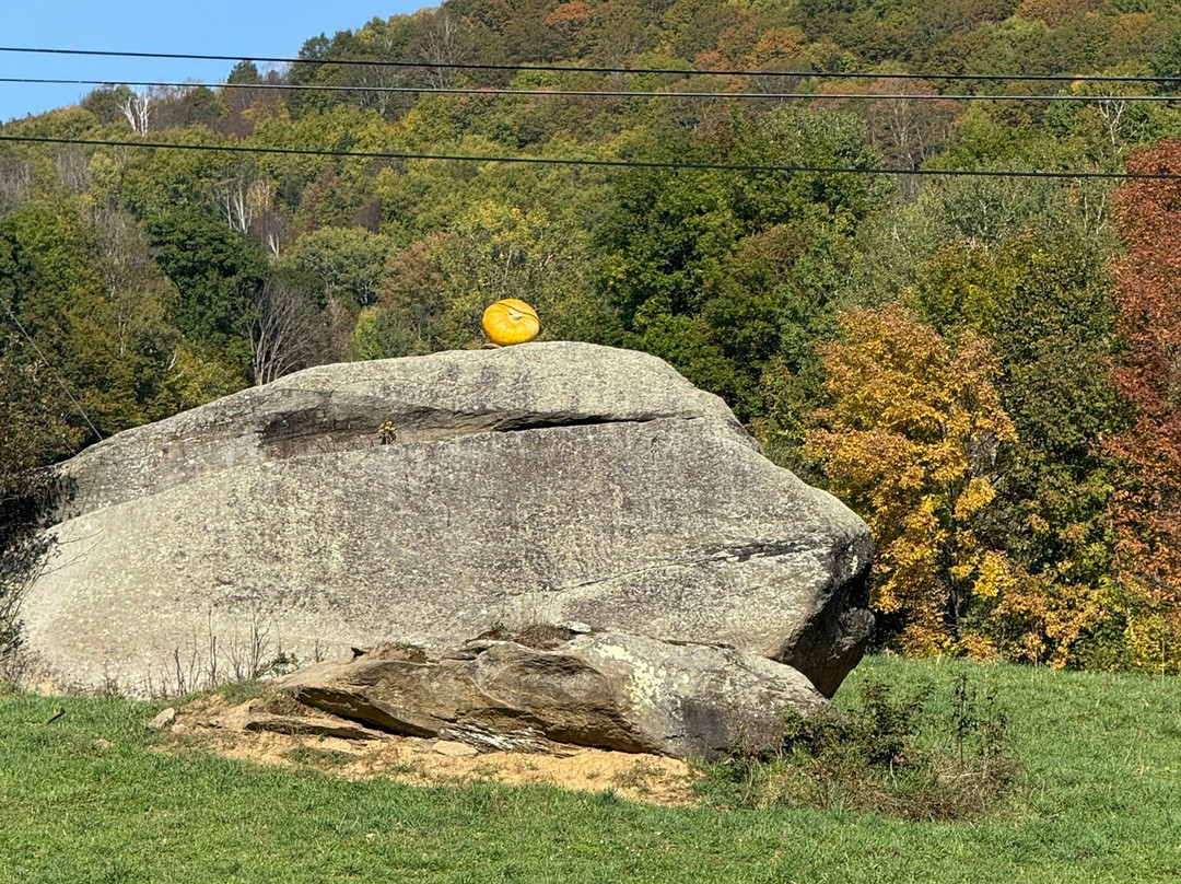 Baird Farm Vermont Maple Syrup-奇滕登必去景点