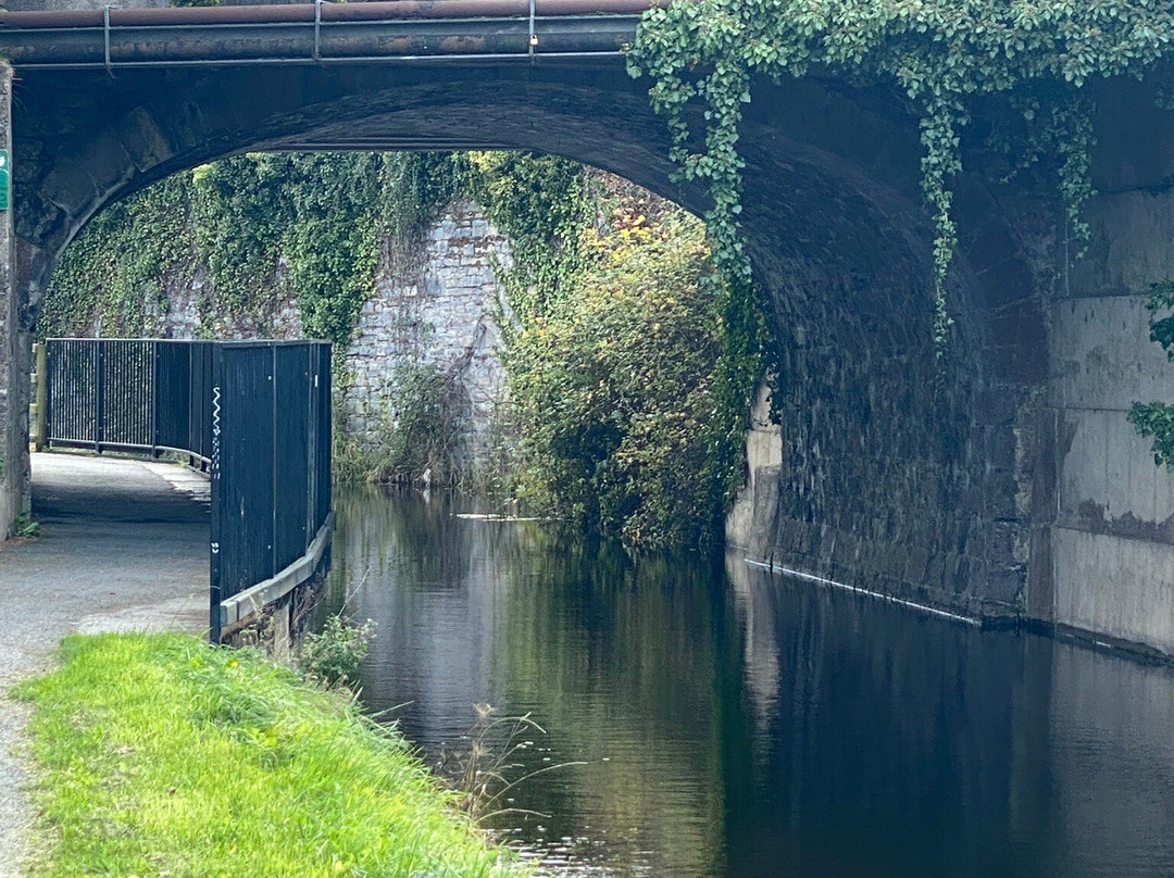 Royal Canal Way-Mullingar必去景点