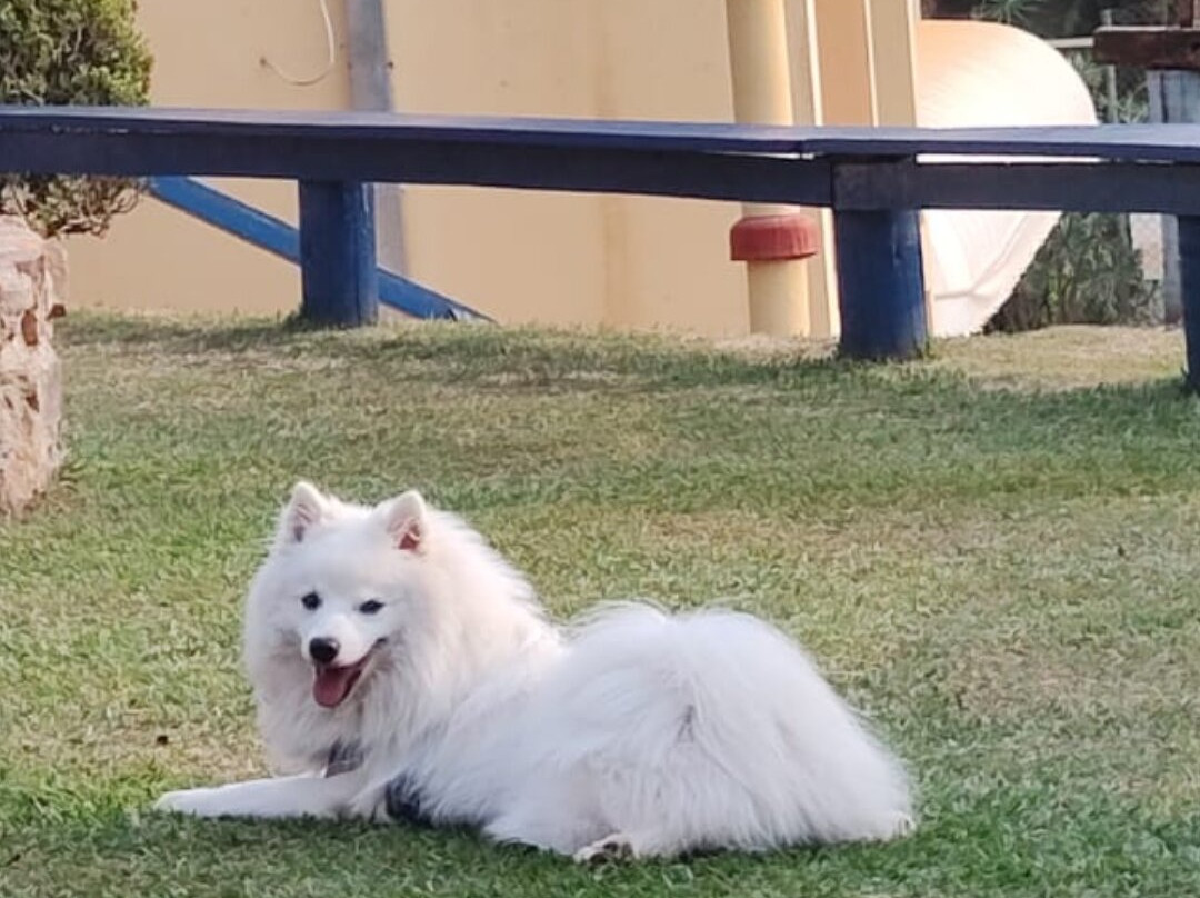 Hotel Fazenda Village Montana主图