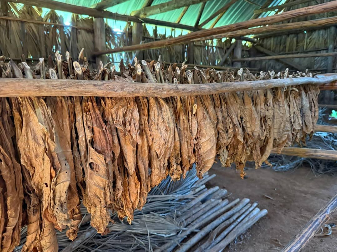 Authentic Tour Delivery