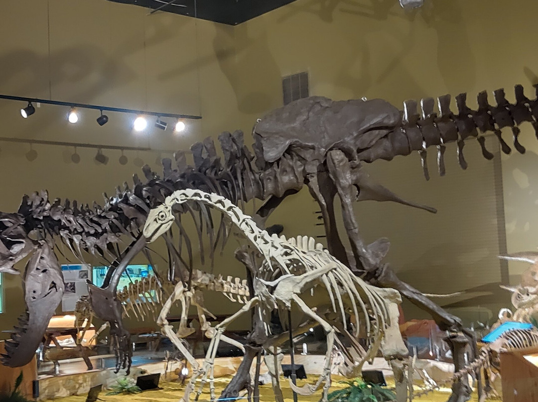 Wyoming Dinosaur Center-瑟莫波利斯必去景点