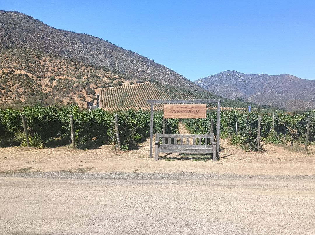 Viñedos Veramonte-卡萨布兰卡必去景点